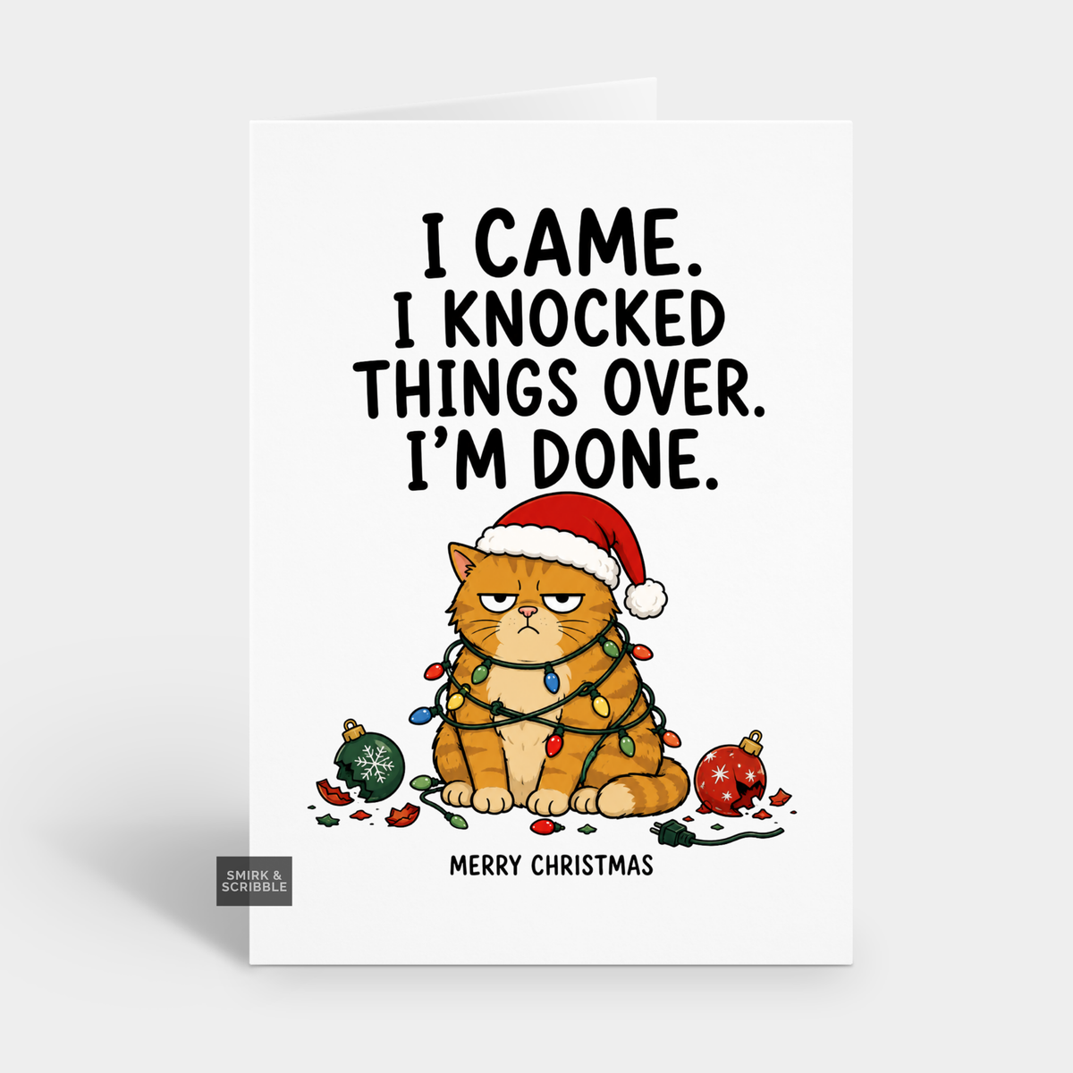 Funny Christmas Card - Grumpy Done Cat
