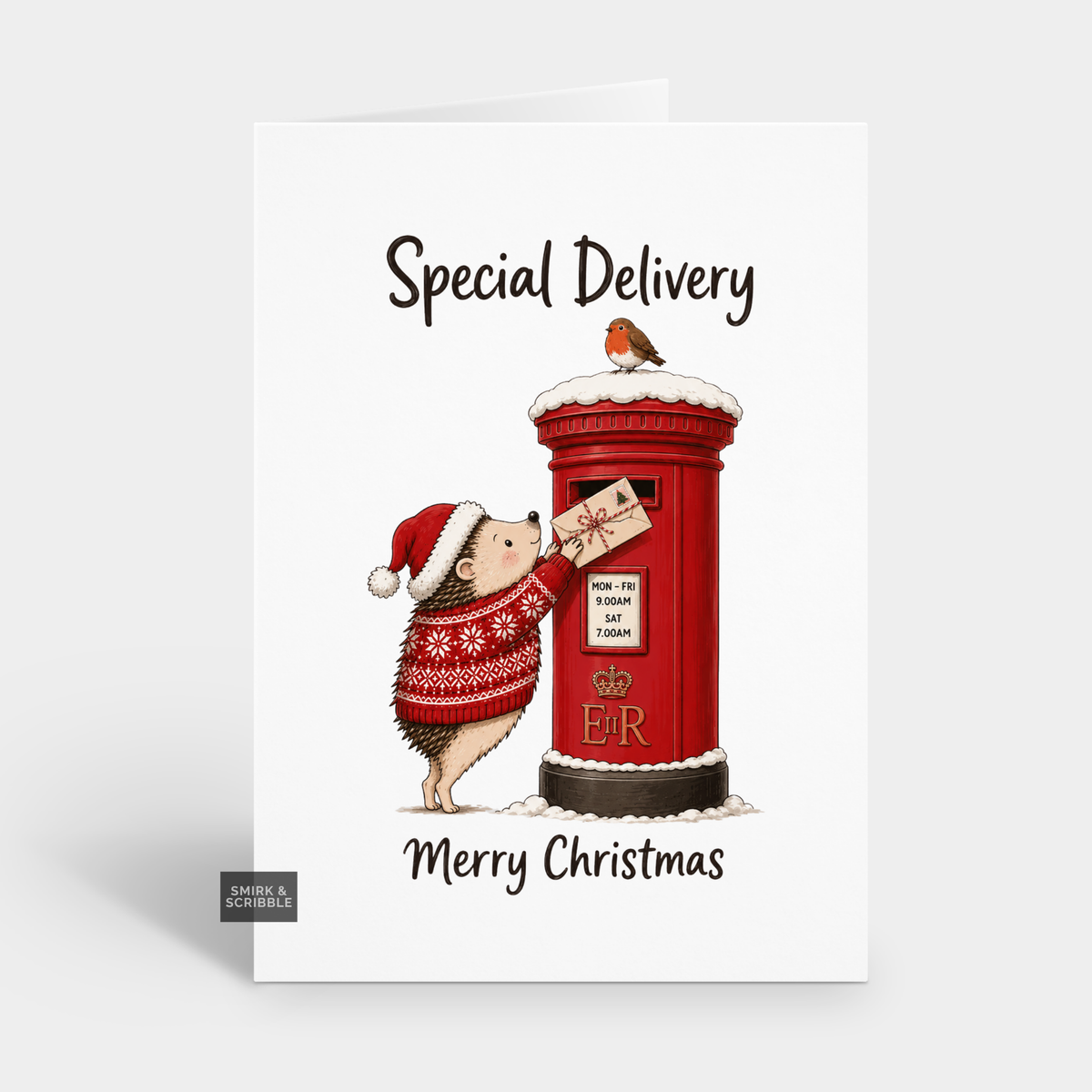 Funny Christmas Card - Special Delivery