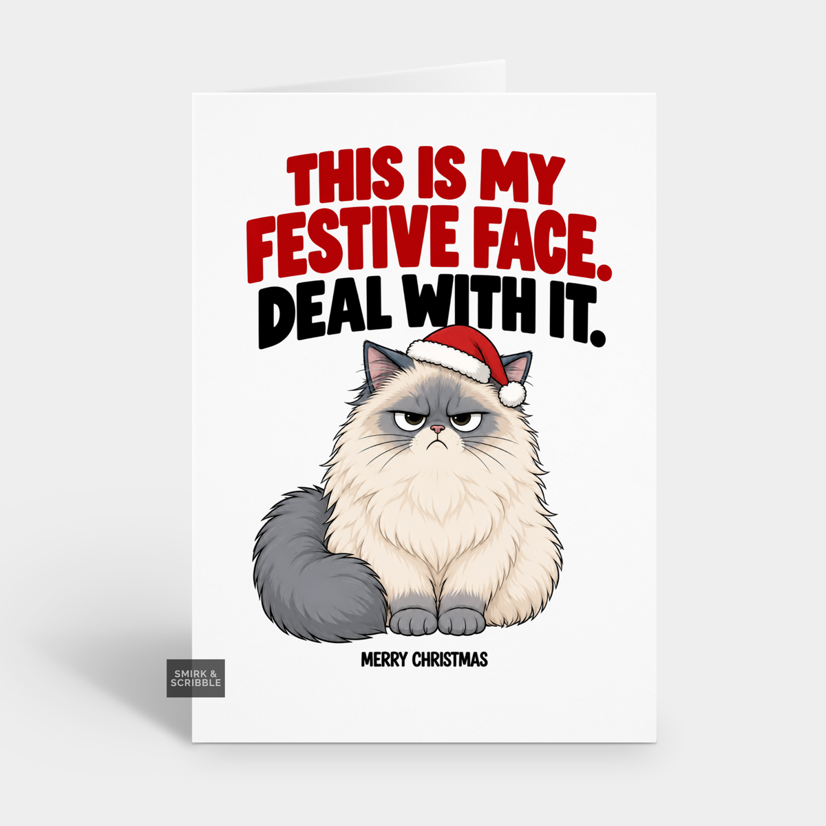 Funny Christmas Card - Festive Face Cat