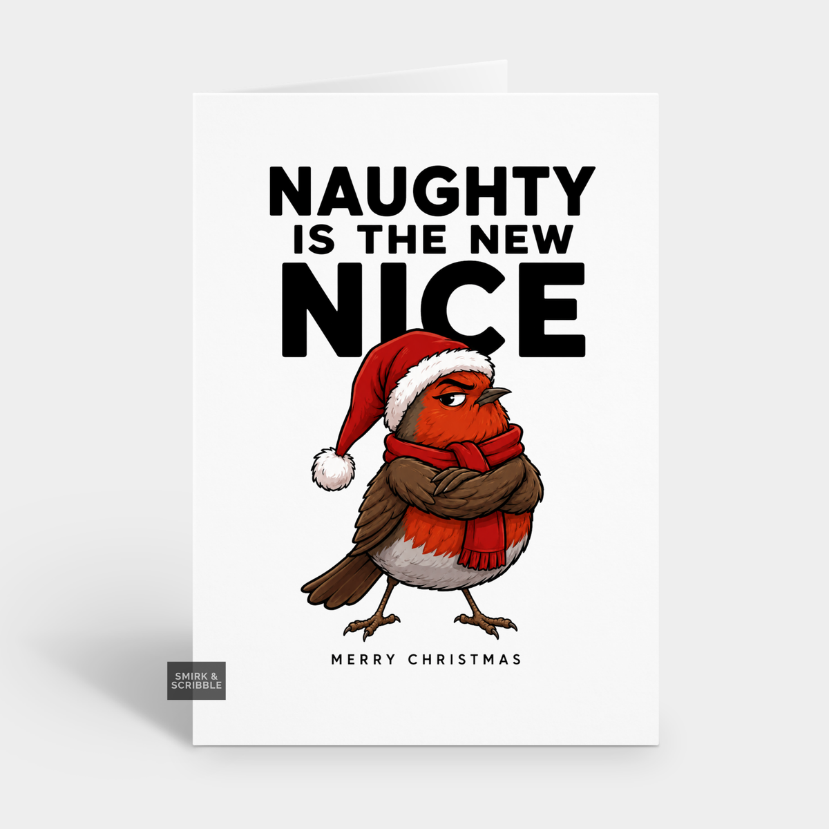 Funny Christmas Card - Nice Robin