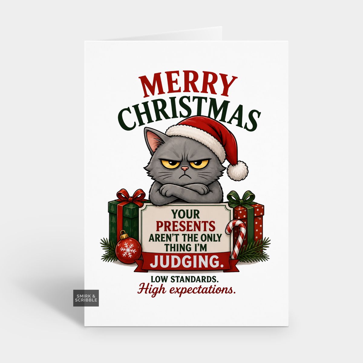 Funny Christmas Card - Low Standards Cat