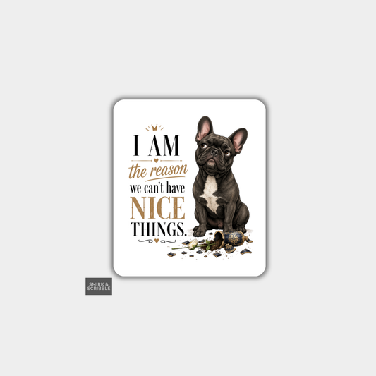 Funny Die Cut Vinyl Sticker - Nice Things Dog