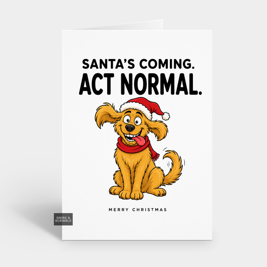ct Funny Christmas Card - Act Normal Happy Dog