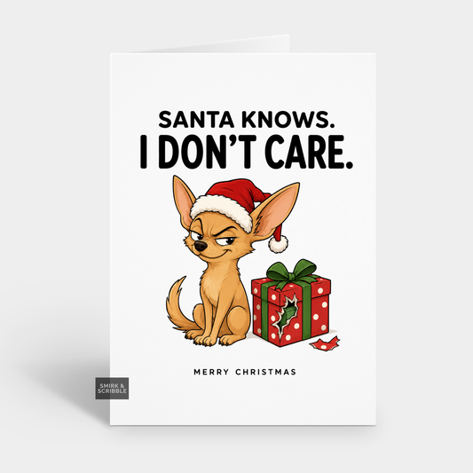 Funny Christmas Card - Don't Care Cheeky Dog