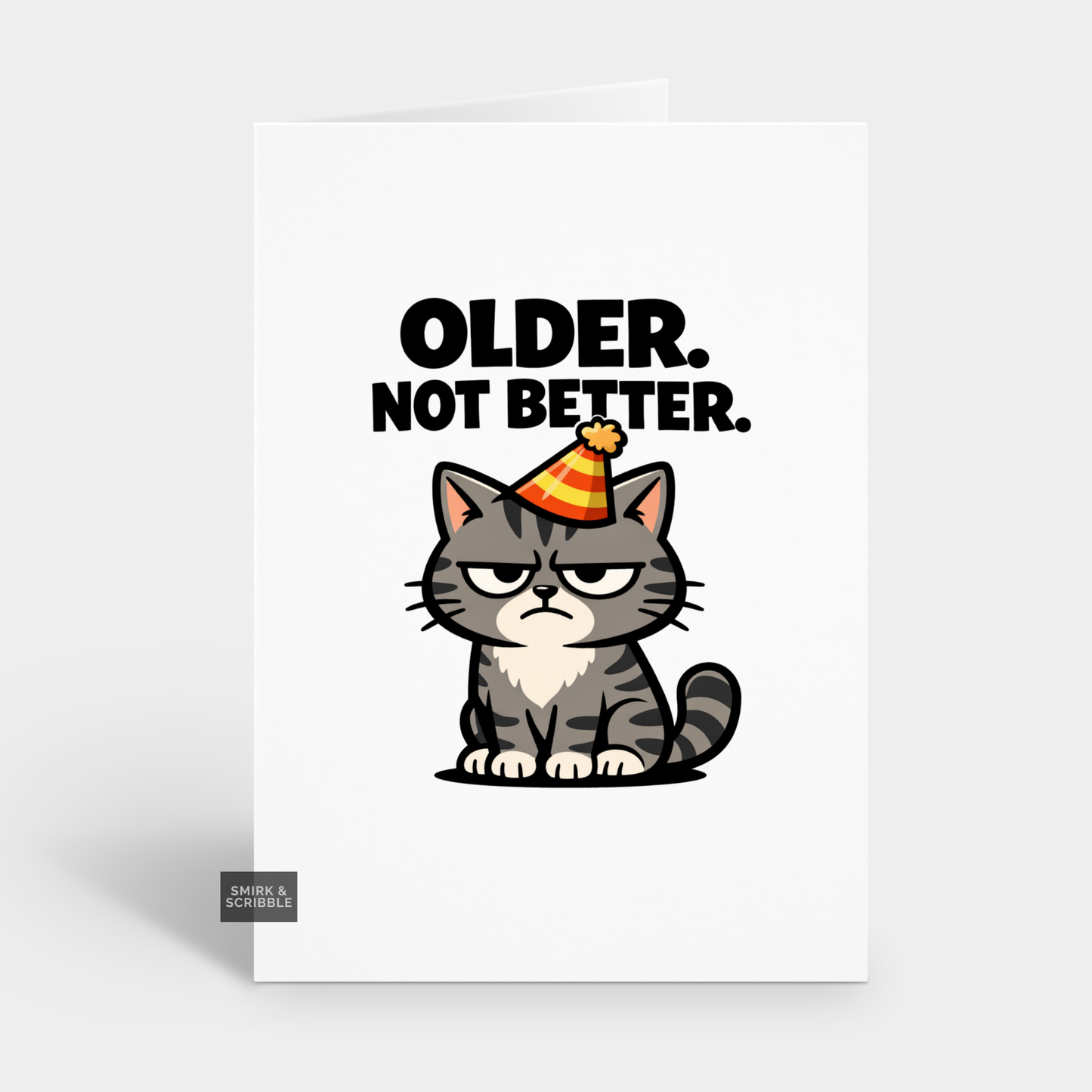 Poster with a cat wearing a party hat and text 'Older. Not Better.' on a white background.