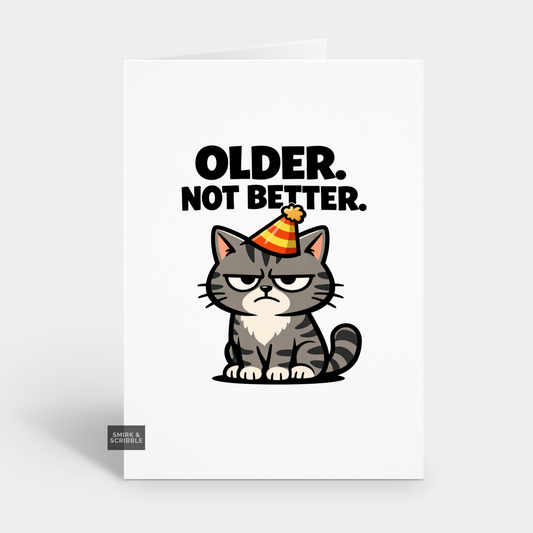 Poster with a cat wearing a party hat and text 'Older. Not Better.' on a white background.