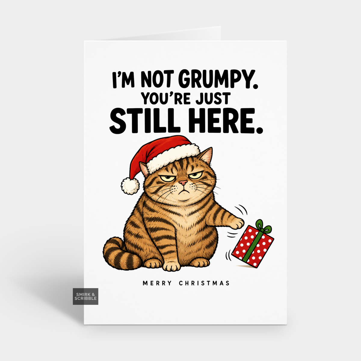 Funny Christmas Card - Antisocial Grumpy Cat