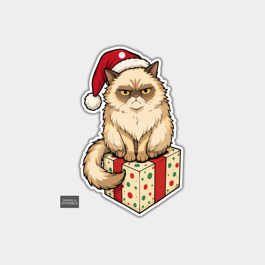 Funny Christmas Gift Tags - Grumpy Cat Sitting On Gift