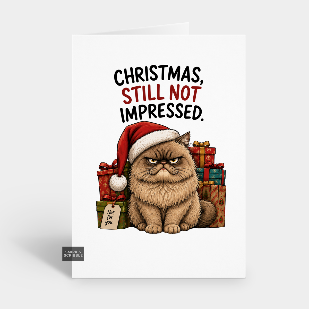 Funny Christmas Card - Not Impressed Cat