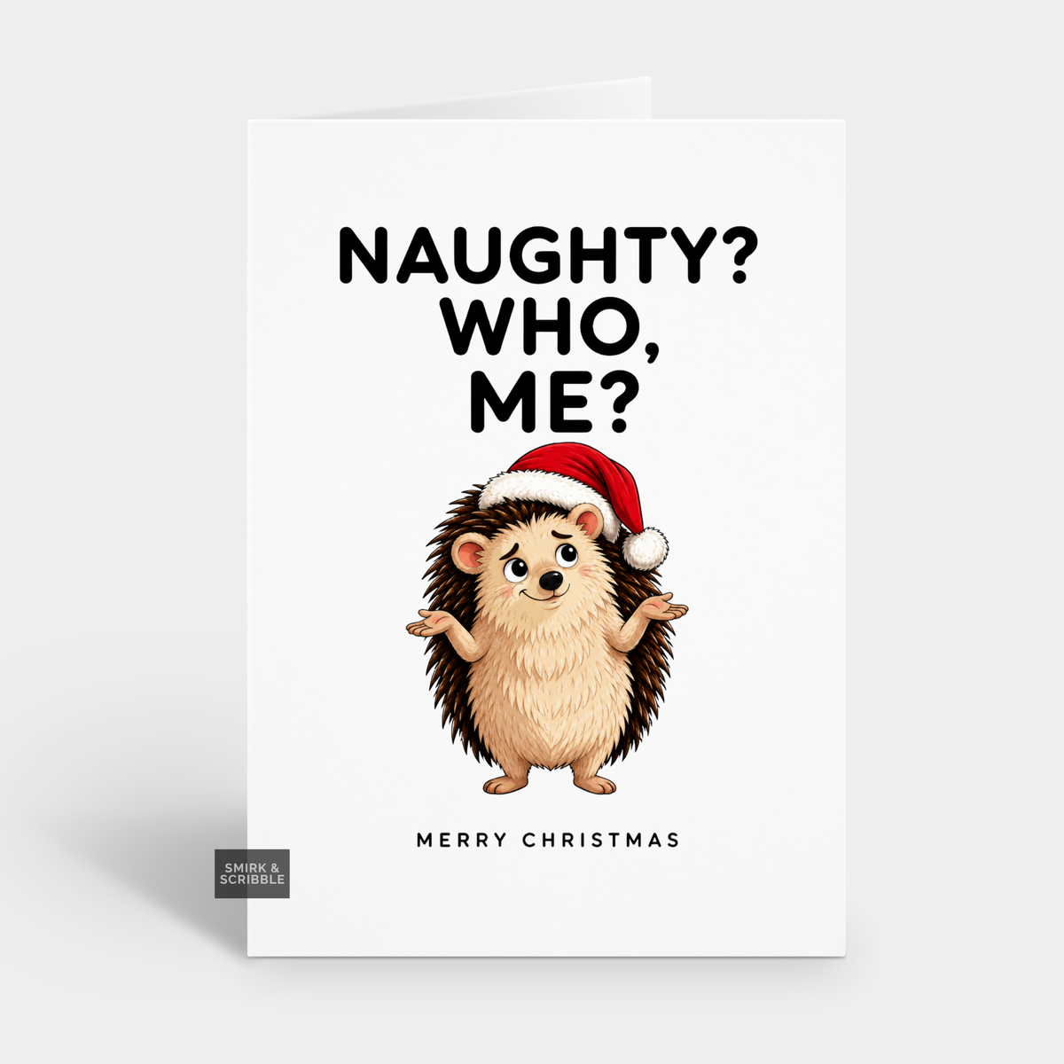 Funny Christmas Card - Naughty Hedgehog