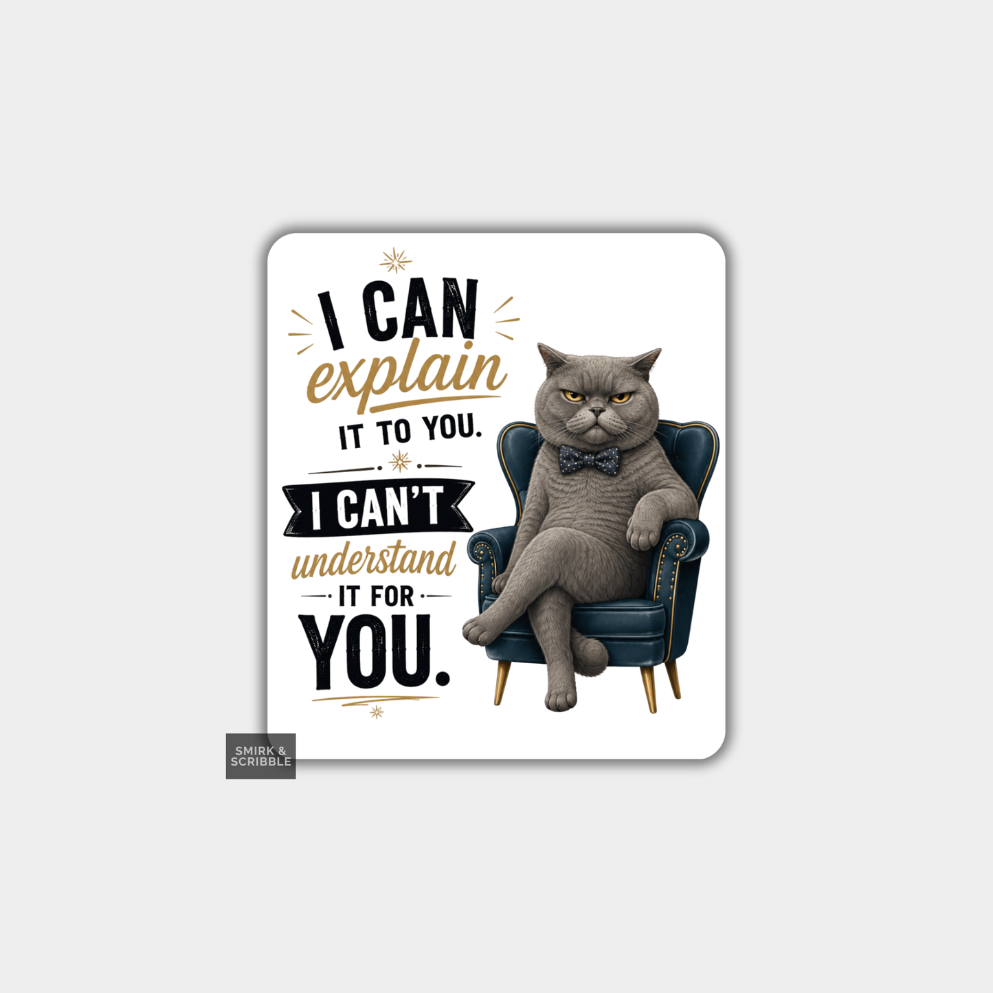 Funny Die Cut Vinyl Sticker - Explain Cat
