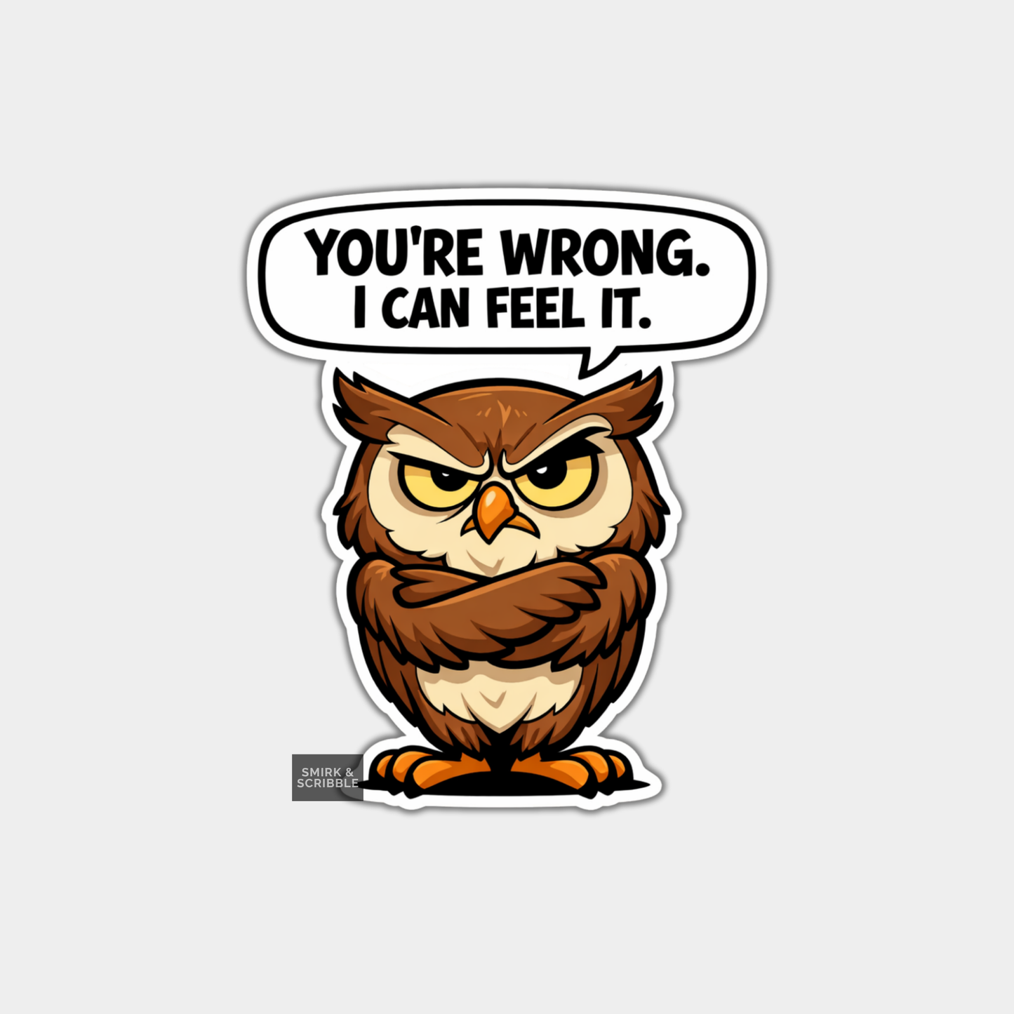Cartoon owl with a speech bubble saying 'You're wrong. I can feel it.' on a white background