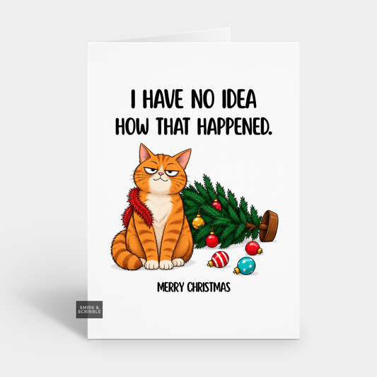 Funny Christmas Card - No Idea Cat