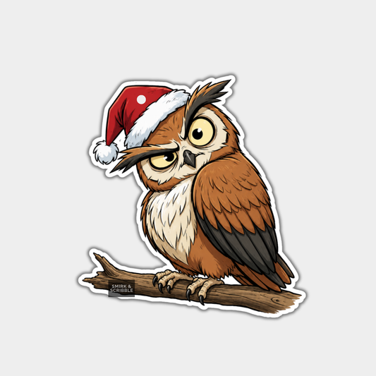 Funny Christmas Gift Tags - Cute Owl In Santa Hat
